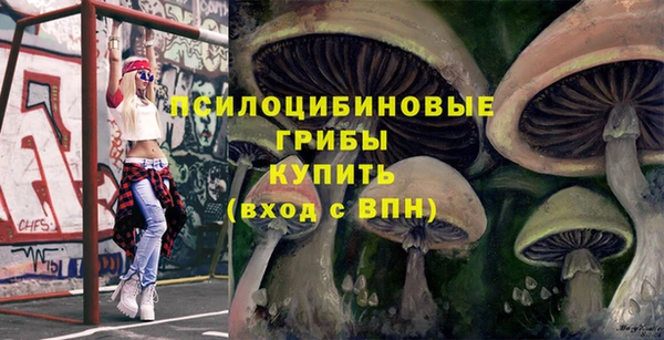 винт Арсеньев