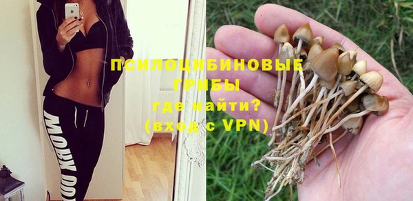 соль курить ск Армянск